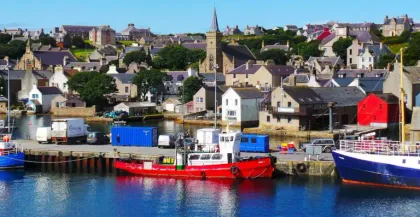 Seabird Boat Tours in Shetlands