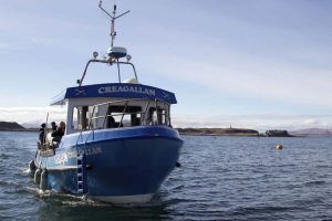 Sea Tours and Fishing in Argyll