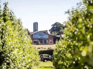 Visit the Chase Distillery in Herefordshire