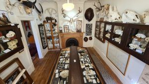 View Bone Art at the Dunedin Museum of Natural Mystery