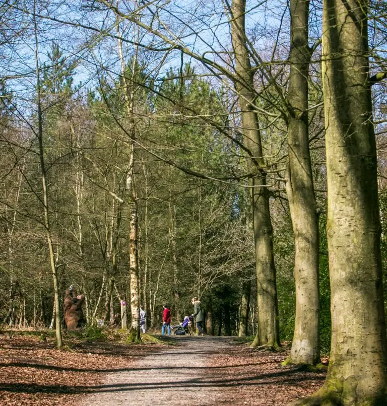 Explore the Alice Holt Forest in Surrey