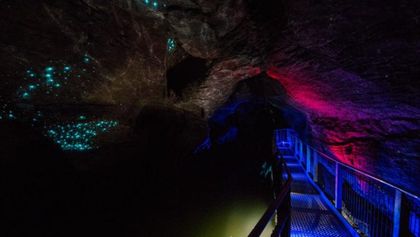 Discover Ruakuri Cave in Waitomo