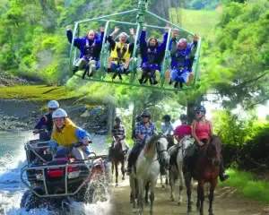Have a Blast at Cable Bay Adventure Park