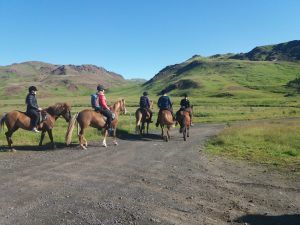 Horse Riding Tours from Reykjavik