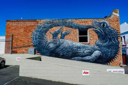 Dunedin Street Art Trail