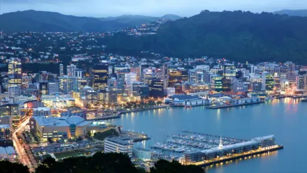 32 things to do in Wellington