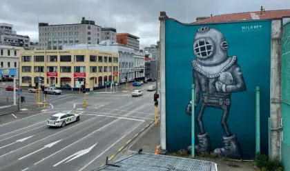 Visit Dunedin Street Art in Otago