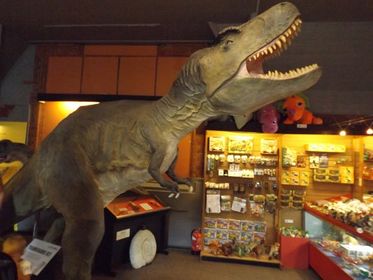 The Dinosaur Museum in Dorset