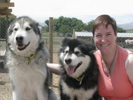 Kennel Tour Experience with Sled Dogs