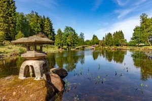 Relax at a Japanese Garden at Cowden