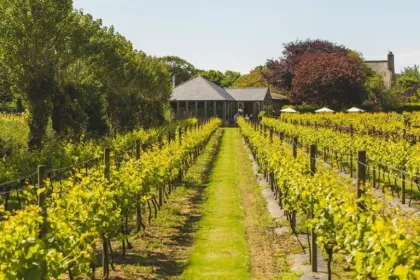 La Mare Wine Estate in Jersey