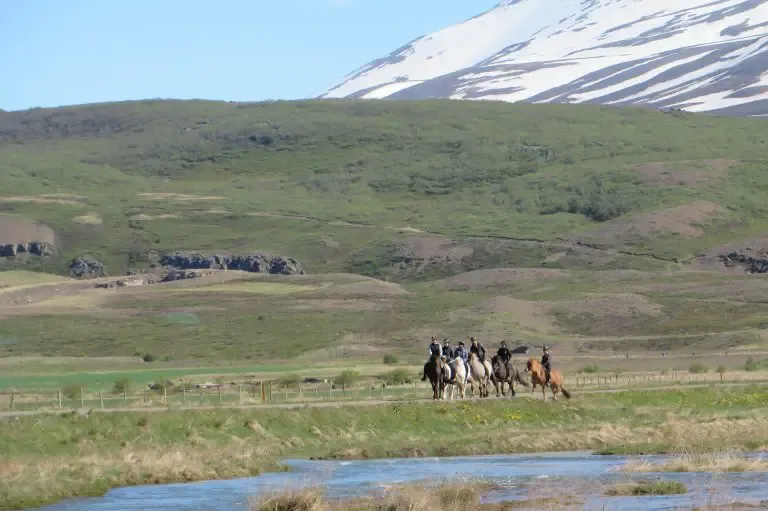 Horse Riding Tours in Iceland