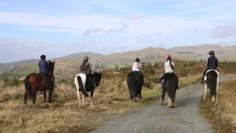 Pony Trekking and Horse Riding in Castlewellan