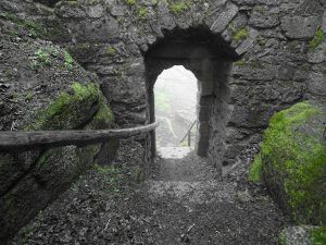 Explore the Ruins of Kilmahew Castle in Cardross