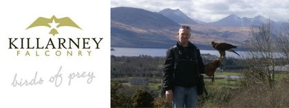 Falconry Experience in Killarney