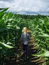 Farm Visit and Maze in Doncaster