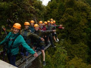 Experience Rotorua Canopy Tours