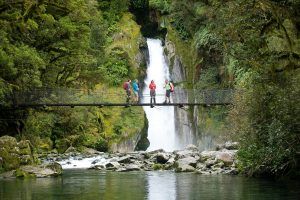 Guided Hikes of Fiordland