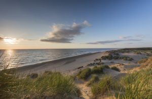 Escape the City at Formby Beach and Woodlands