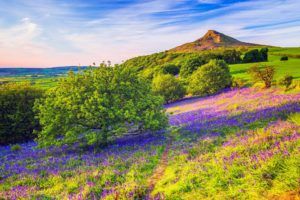 Visit Roseberry Topping Hill in Middlesbrough