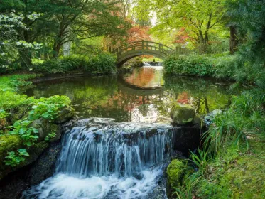 Visit the Japanese Water Garden in the Borders