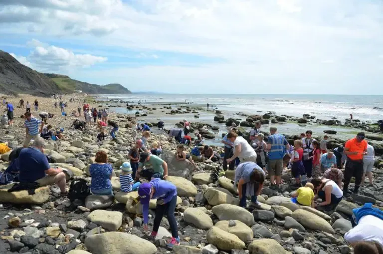 Fossil Hunting in Dorset