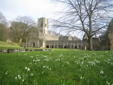Discover the Historical Ruins and Beautiful Gardens of Fountains Abbey in Yorkshire