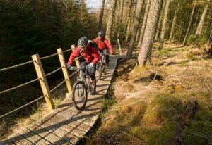 Mountain Biking on the Scottish/English Border