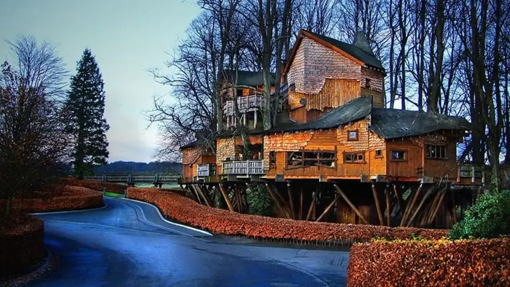 Treehouse Restaurant in Northumberland
