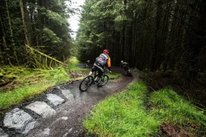 Forest Mountain Bike Trails Near Cookstown
