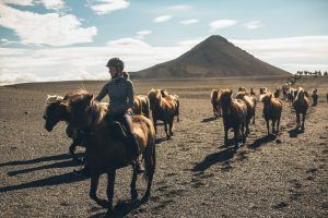 The Arctic North – Horse Riding Trail
