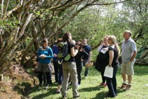 Take Part in a Wild Food Foraging Workshop with Wild Food Mary in Co Offaly