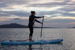 Sunrise Stand up Paddle-boarding Experience in Takapuna