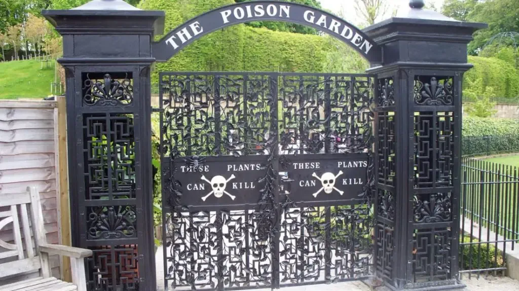 Poison Garden in Northumberland