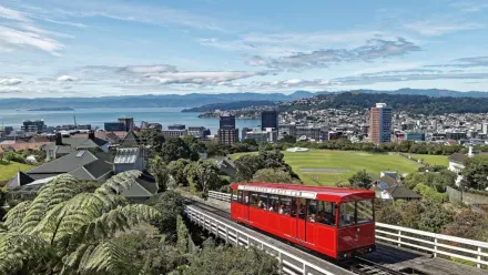 329 things to do in North Island