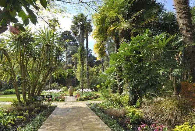Subtropical Gardens in Dorset