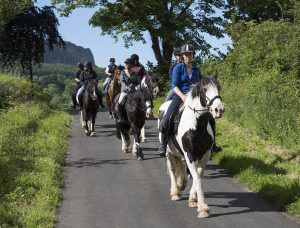 Horse Riding Trips and Holidays in N.Ireland