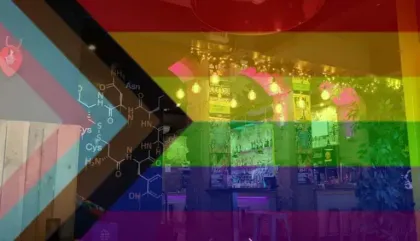 CC Blooms – The Best LGBTQ+ Bar in Edinburgh
