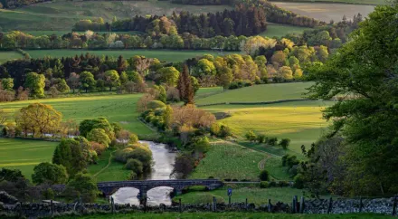 29 things to do in Borders