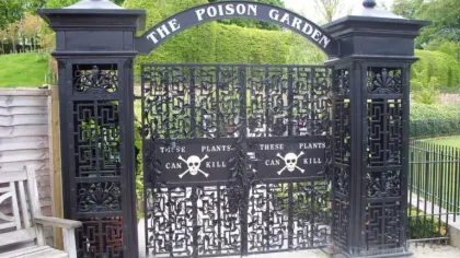 Poison Garden in Northumberland